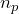 n_p
