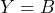 Y = B