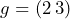 g = (2\,3)